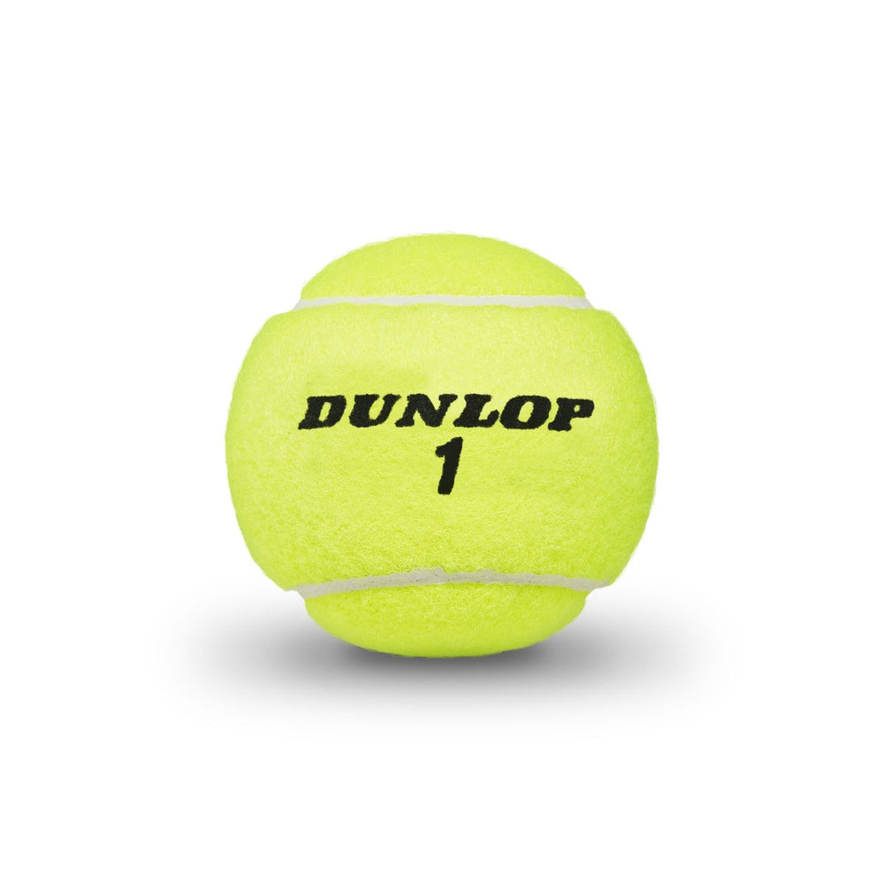 Dunlop ATP Championship Extra Duty Tennis Balls