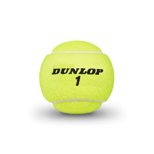Dunlop ATP Championship Extra Duty Tennis Balls Case (24 cans of 3)