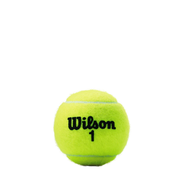 Wilson Championship Extra Duty Case (24 cans of 3)