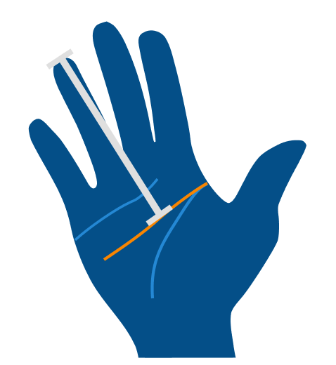 Hand measurement from the main crease of the palm to the tip of the ring finger